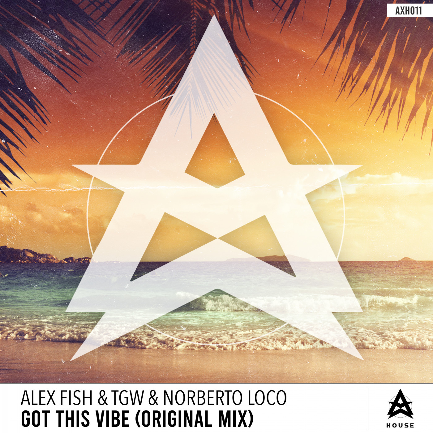 Alex Fish TGW Norberto Loco - Got This Vibe
